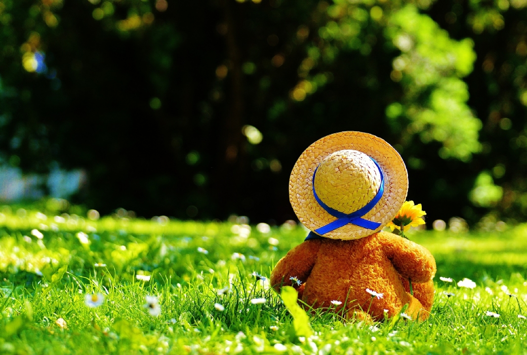 teddy bear 797577 1920