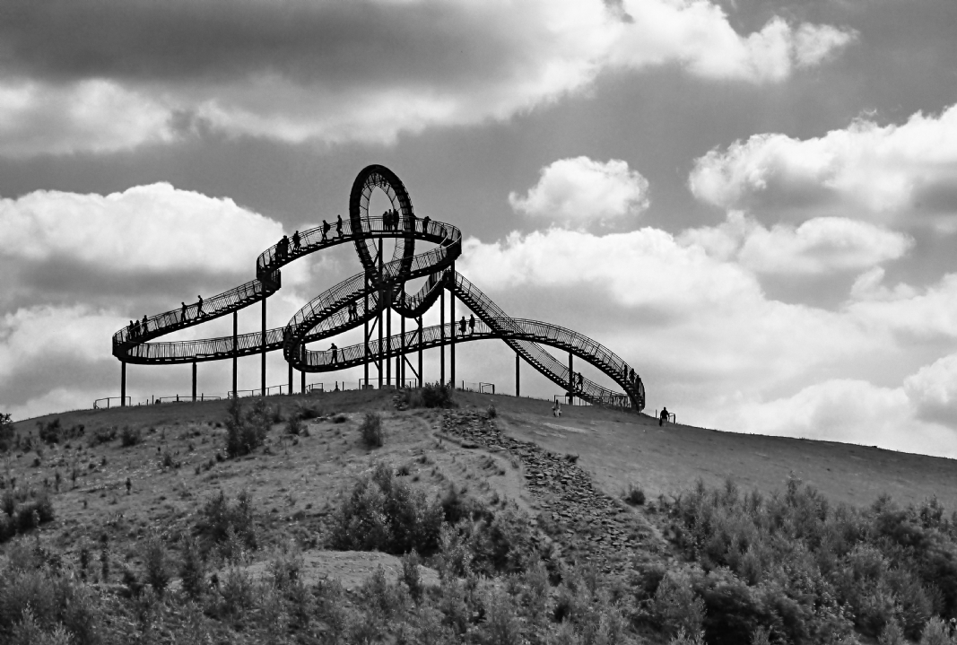 tiger and turtle 52691